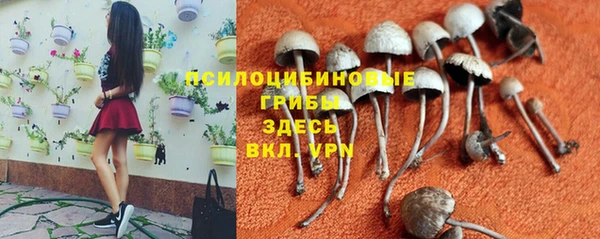 ALPHA PVP Баксан