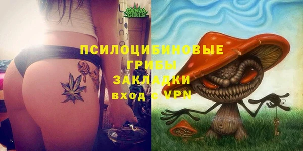 индика Балахна