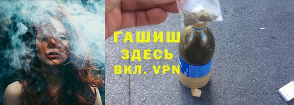 индика Балахна