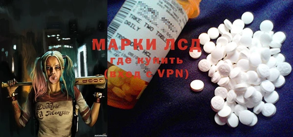 индика Балахна