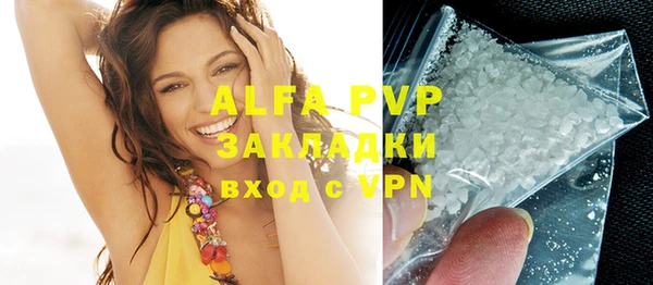 индика Балахна