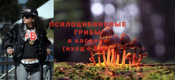 ALPHA PVP Баксан