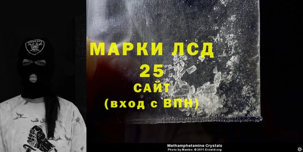 индика Балахна